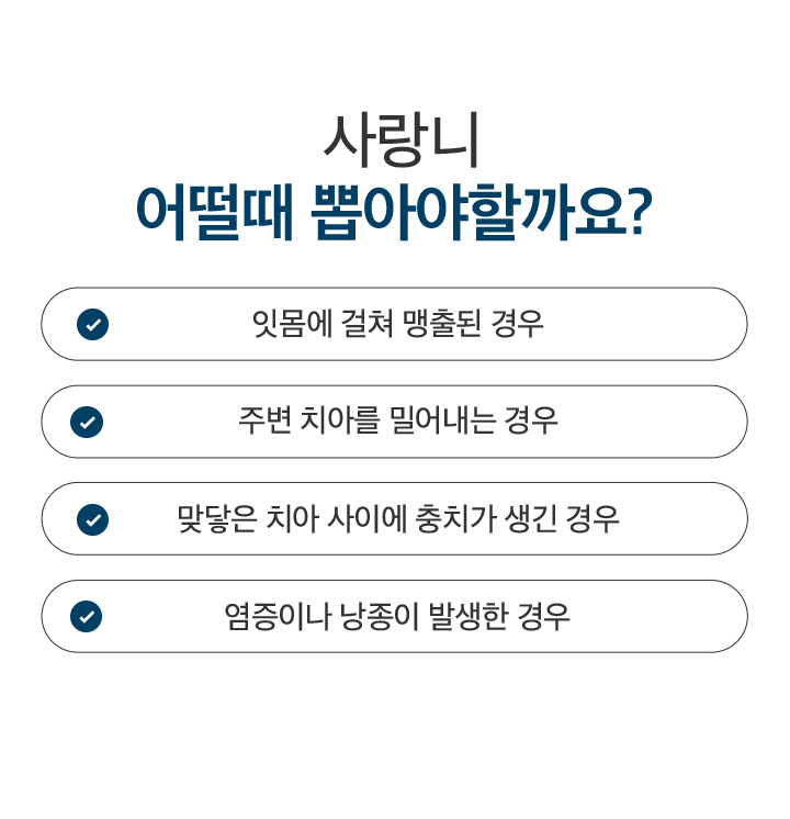mo_사랑니뽑는시기